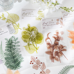 饰拼贴素材森 叶之脉PET贴纸水晶油墨植物大尺寸手帐装 美好 一天