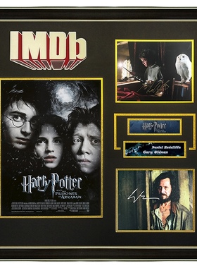 IMDB 哈利波特与阿兹卡班的囚徒 丹尼尔雷德克里夫 加里奥德曼