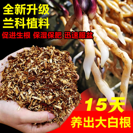 纯杉树木屑兰花专用土壤杉木屑植料兰花营养土兰花新植料营养土