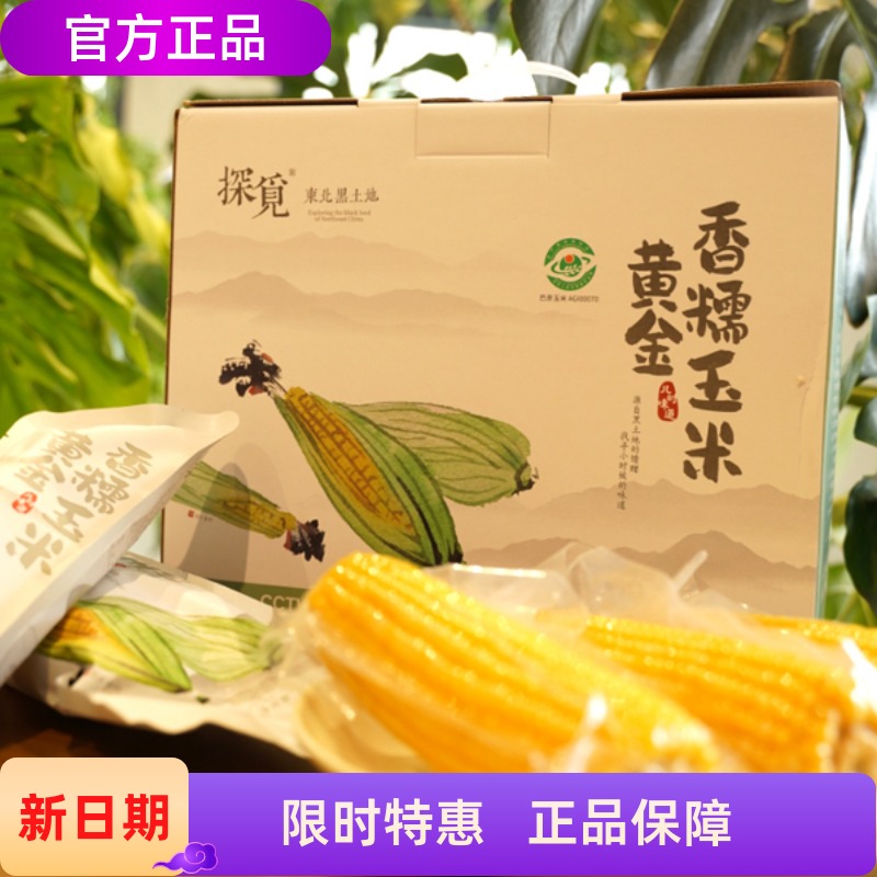 探觅黄金香糯玉米10支/箱黑玉米