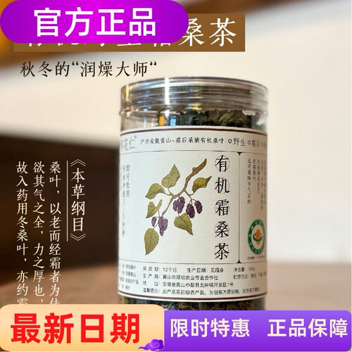 有机野生霜桑茶安徽黄山霜降桑叶