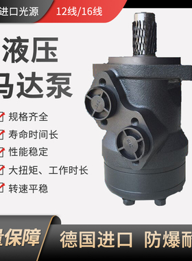 镇江大力液压油马达 BMR/BM1-50 80 100 125 160 200 250 315 400