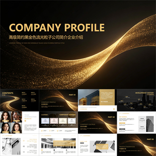 【动态PPT】高级简约黑金色流光粒子商业公司简介企业介绍PPT模板