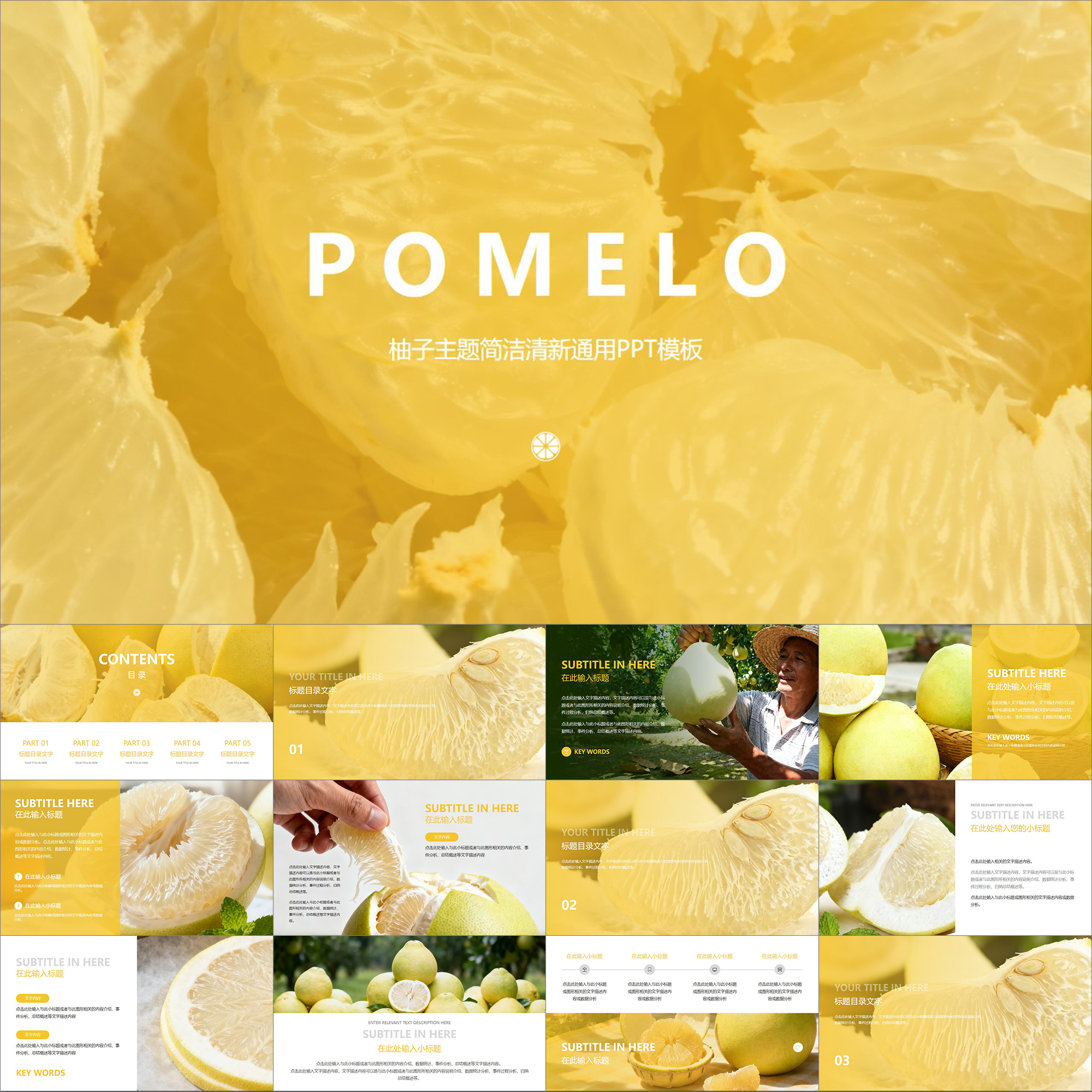 【动态PPT】黄金色白心柚子水果主题精美简洁清新甜美图文PPT模板