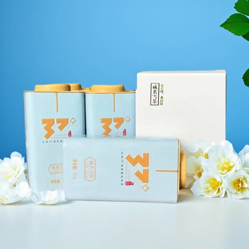 乳山绿茶威茗雪茶威海特产礼品盒