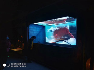 45度幻影成像玻璃虚拟反射全息3D裸眼立体180度互动展厅博物馆