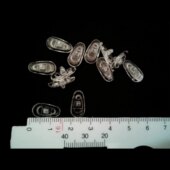 防滑气囊眼镜鼻托眼镜配件硅胶软防压痕脱落减压支架眼睛垫通用型