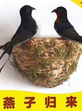 墙上装饰仿真燕子小鸟燕窝巢鸟窝春季美陈装饰品软装遮瑕仿真小鸟