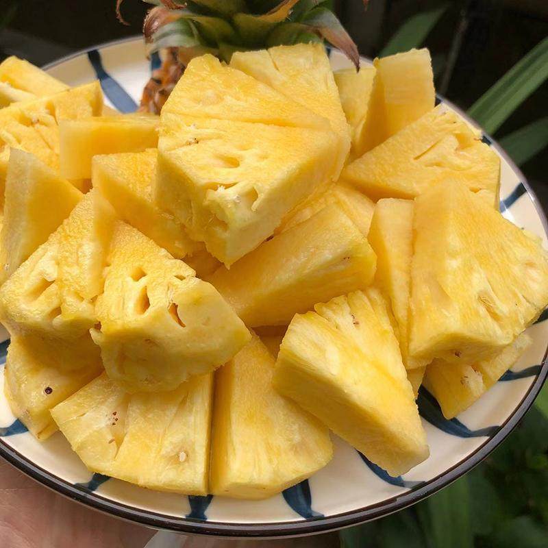 抱朴园海南树上熟金钻凤梨应季时令新鲜原生态水果产地现摘直发,水产肉类/新鲜蔬果/熟食,菠萝,淘宝优惠券,粉丝福利购,淘宝优惠卷