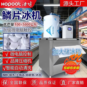 商用片冰机海鲜火锅店鳞片制冰机