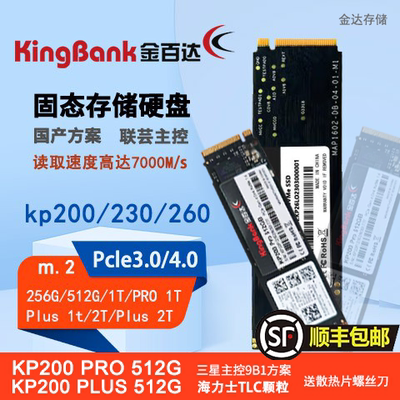 金百达固态硬盘m2kp200pro512g
