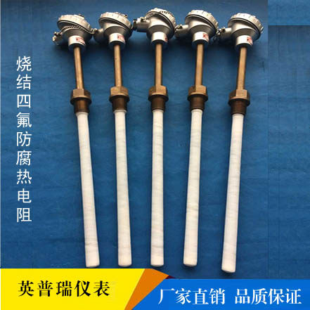 四氟防腐热电阻外套烧结WZP-230F/430F化工反应釜钢铁厂铠装防爆