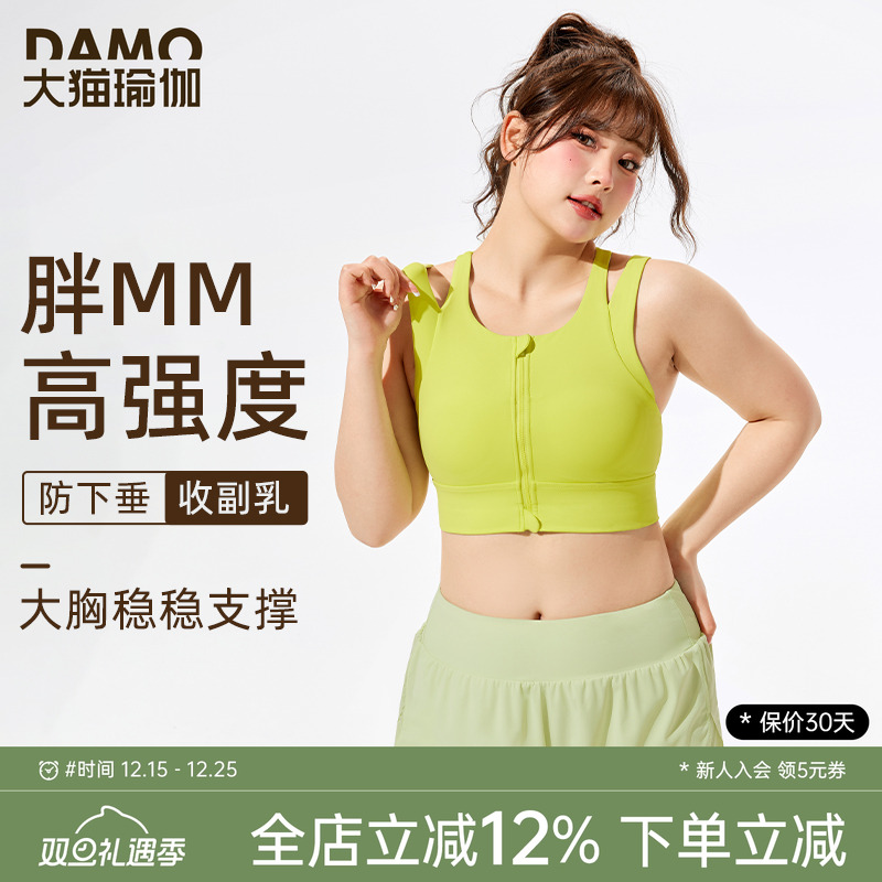 胖mm大码运动内衣高强度防震防下垂外穿跑步瑜伽背心女健身服套装