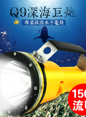 金三赢正品Q9专业摄影灯潜水补光手电筒水下强光防水充电远射船用