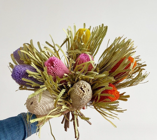 进口永生干花班克木帝王花软装花店家居装饰样板房售楼处桌面摆设