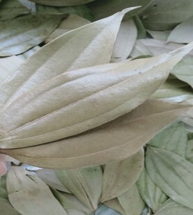 武夷山特产农家桂叶天然香叶炖煮煲卤肉桂皮调料武夷山桂叶50克