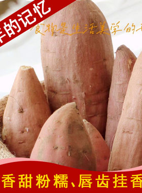 壹亩地瓜哈密牛奶冰糖薯济南香甜