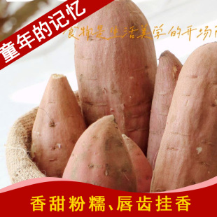 白心哈密牛奶冰糖薯10斤细腻香甜蒸地瓜宝宝辅食红皮白肉有糖心烤