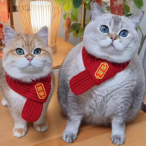 2026宠物新年围巾猫咪招财冬季保暖针织狗狗蛇年装饰品喜庆红围脖