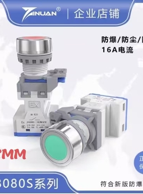 22mm开孔防爆按钮JS8080S-A防尘防腐防水无灯自锁自复位