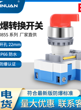 JS8085S防爆旋钮开孔22mm转换开关二档三档自复自锁防尘防腐