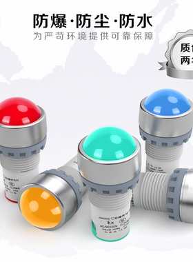 JS8050S-A防爆防尘防腐电源指示灯信号灯开孔22mm抗干扰110V