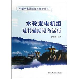 水轮发电机组及其辅助设备运行 孙效伟 编 正版书籍   博库网