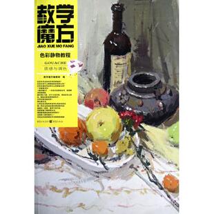 质感与调色 正版 教学魔方 新华书店 书籍 绘画技法 色彩静物教程