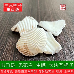 南阳经方 精选出口级瓦楞子中药材 无硫熏白 药用海南生瓦楞子