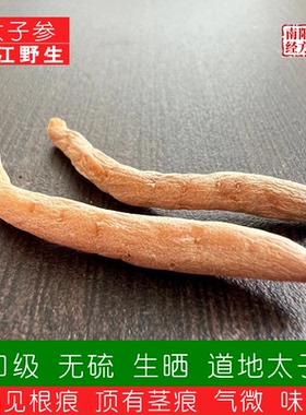 南阳经方 野生太子参凹见根痕 顶有茎痕 气微 味微甘出口级太子参