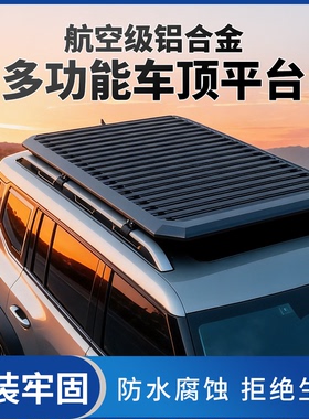 适用于丰田雷克萨斯GX550H LX460 NX200T RX450L车顶行李架框筐