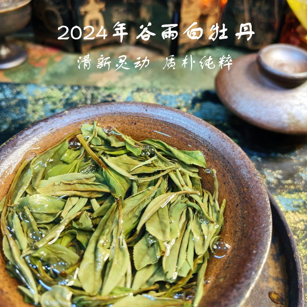 6.6元福利茶2024谷雨牡丹30g装