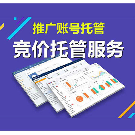 百度竞价托管SEM账户优化SEO学习视频网络营销直播课程抖音全外包