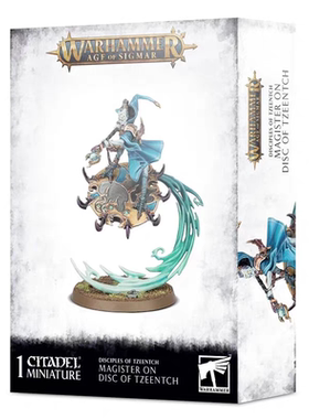 战锤 AOS 混沌 奸奇 飞盘法师  Magister on Disc of Tzeentch