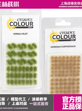 三林战棋/战锤 地形草底座材料 草丛 Tufts Verdia Veldt Mordian