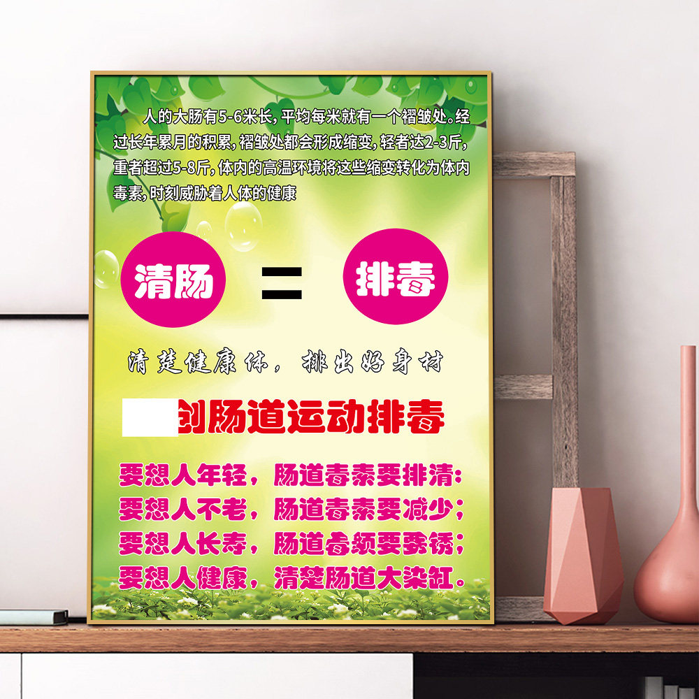 肠道运动排毒宣传海报中医养生人体大肠健康广告挂画PP防水贴纸KT