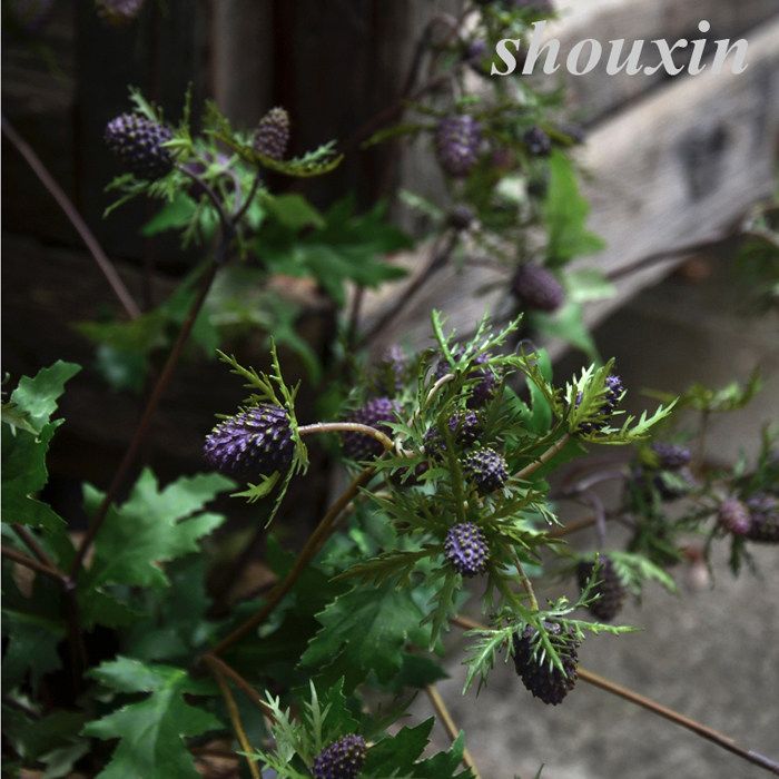 客厅ins餐桌高仿真桑果枝浆果小野莓田园果子家居装饰拍摄道具