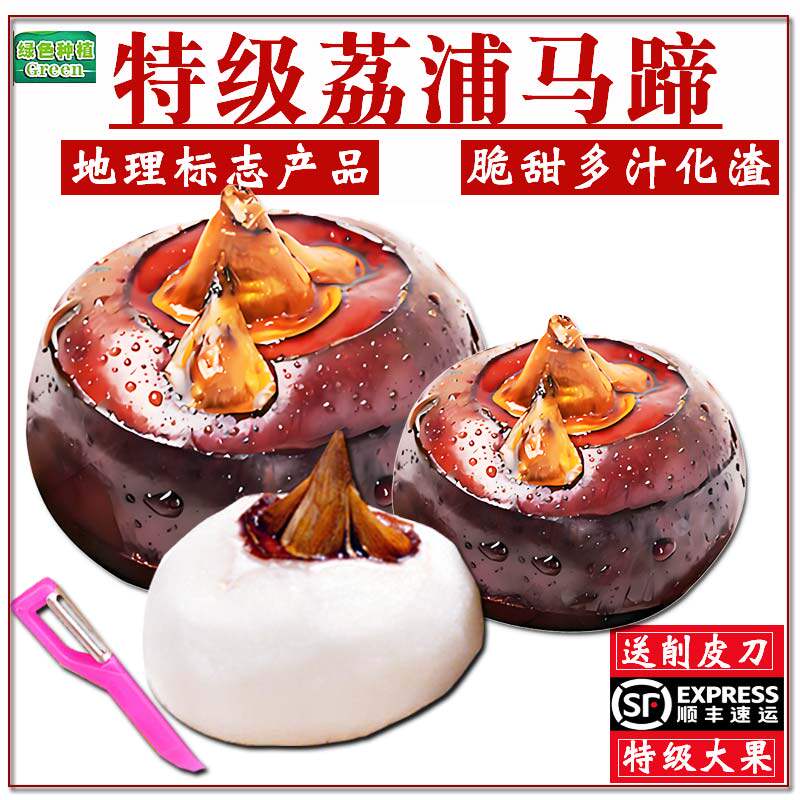 县长推荐脆甜荔浦马蹄顺丰速发