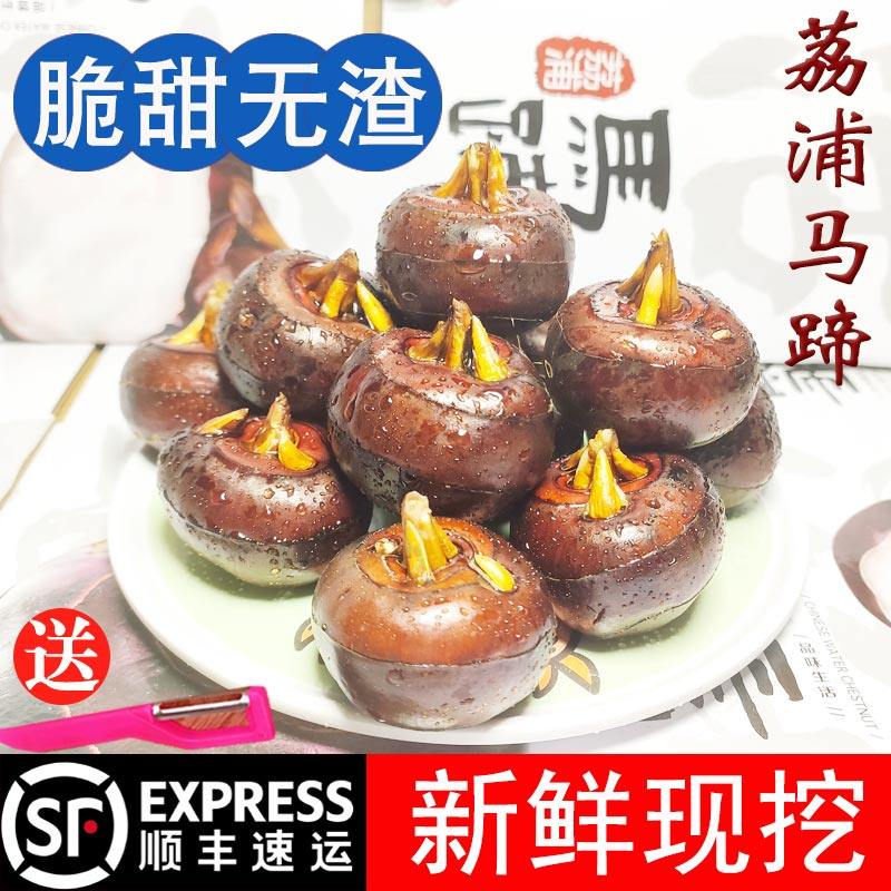 荔浦马蹄荸荠　顺丰速发送削皮刀