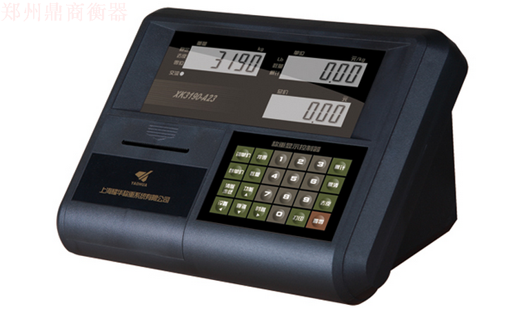 上海耀华电子秤电子称小型地磅显示器汽车衡称重A23P仪表XK3190