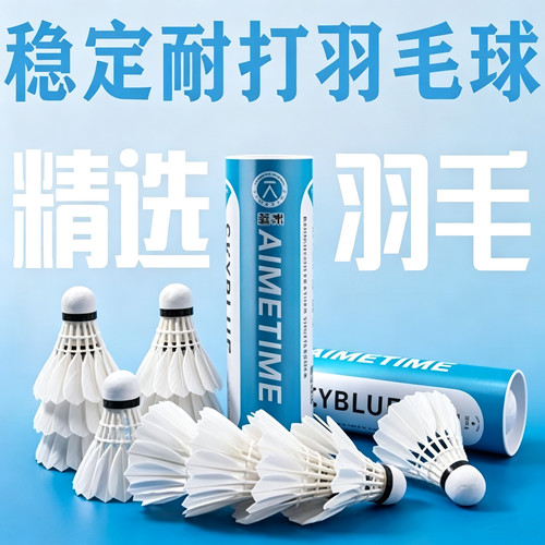 AIMETIME羽毛球6只装耐打