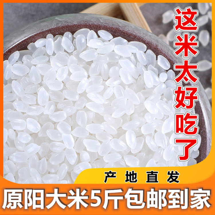 正宗河南原阳黄金晴大米23年新米现磨粳米金八素大米5斤产地发货