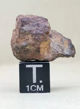 中国新疆八墙子顽辉石陨石