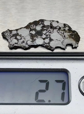 智利塞拉戈尔达碳质球粒切片