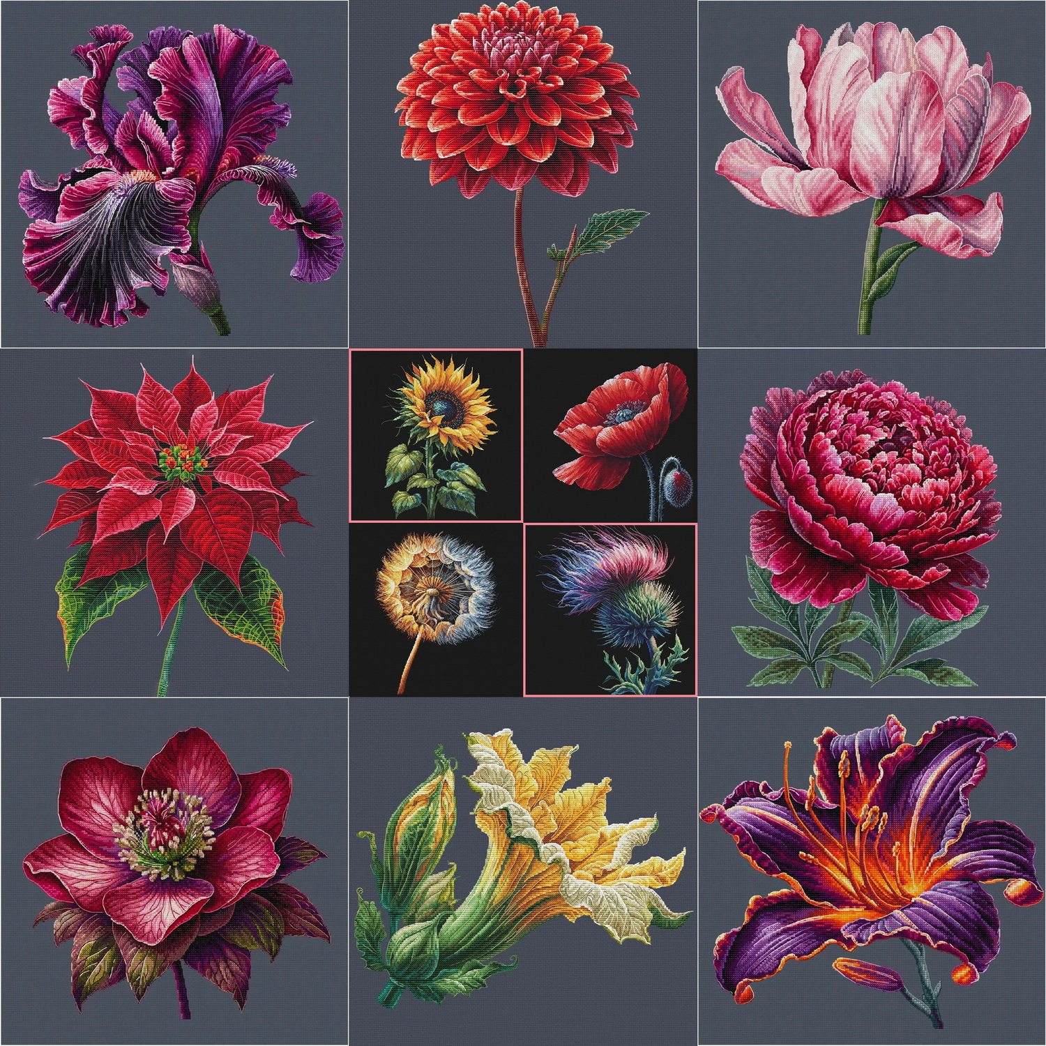 黑布花系列 法国DMC线R线十字绣 手工装饰画saga艳丽花草黑色绣布,居家布艺,湘绣,淘宝优惠券,粉丝福利购,淘宝优惠卷