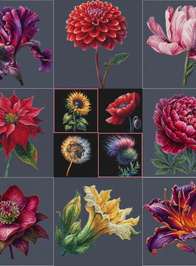 黑布花系列 法国DMC线R线十字绣 手工装饰画saga艳丽花草黑色绣布