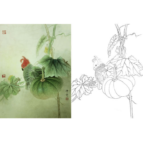 工笔画白描底稿实物勾线打印稿龚雪青南瓜鹦鹉XQ65