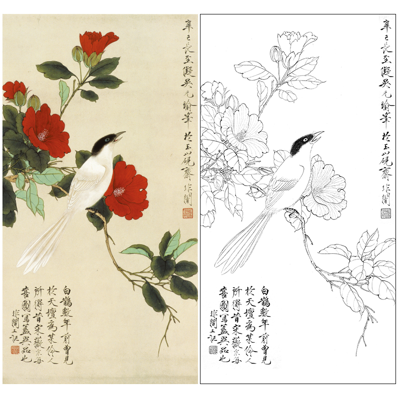 于非闇工笔花鸟白描底稿山茶花《白雀图》临摹勾线高清打印稿YF45