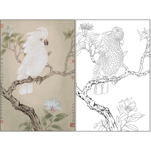 工笔画白描底稿薄春雨花鸟《鹦鹉》临摹勾线高清打印稿BC10