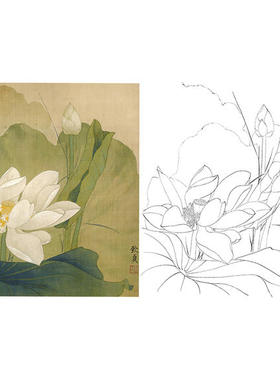 工笔画白描底稿花卉荷花俞致贞白莲实物勾线打印稿尺寸可选-JV15